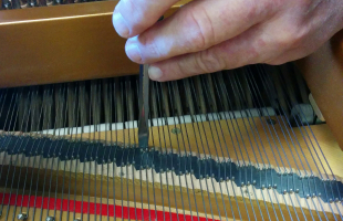 Piano Evaluation and Consultation Service