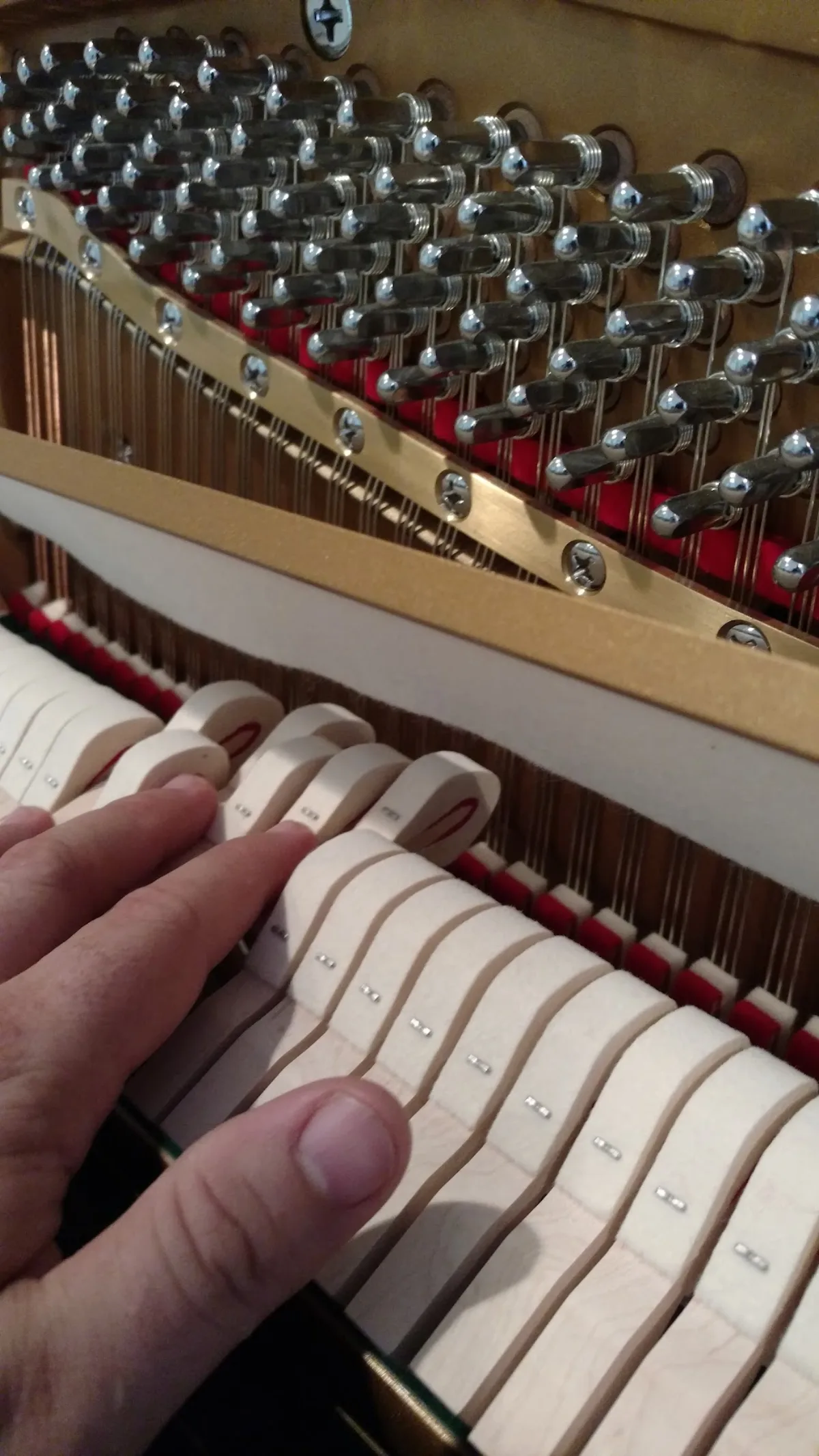 Hand touching new piano hammers — tuning pins above